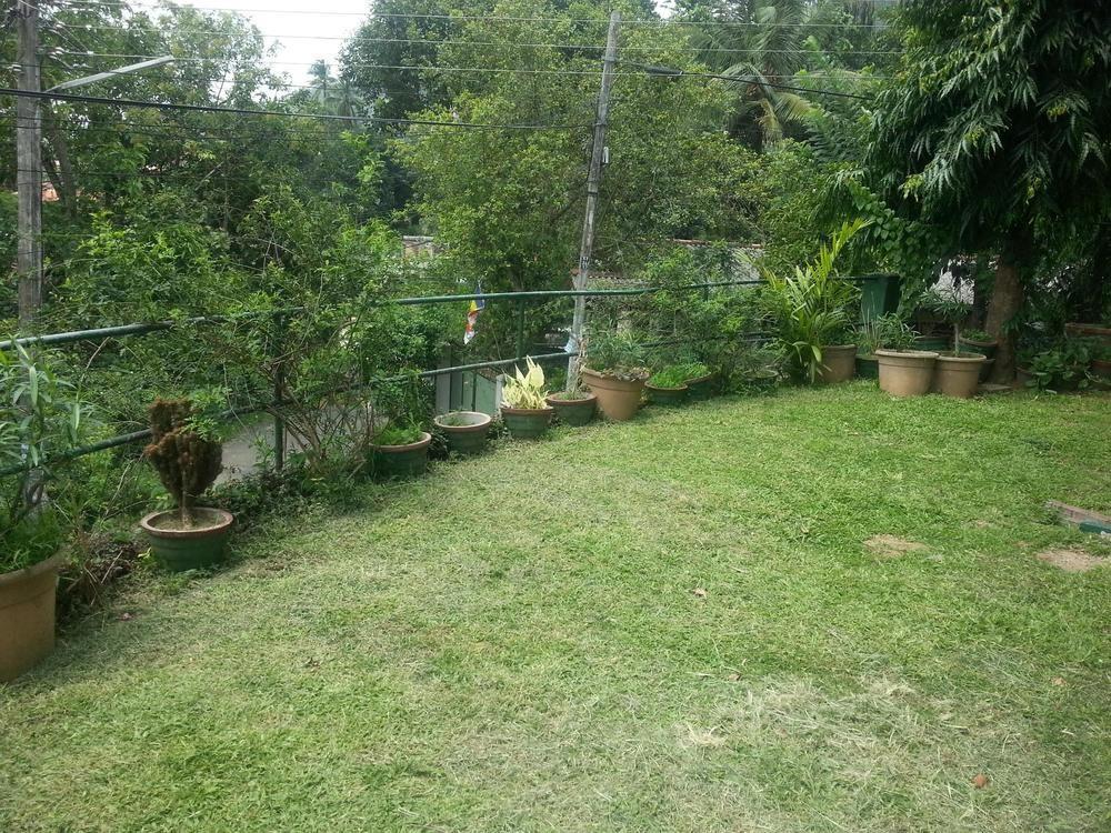Kandy Holiday Home Екстер'єр фото
